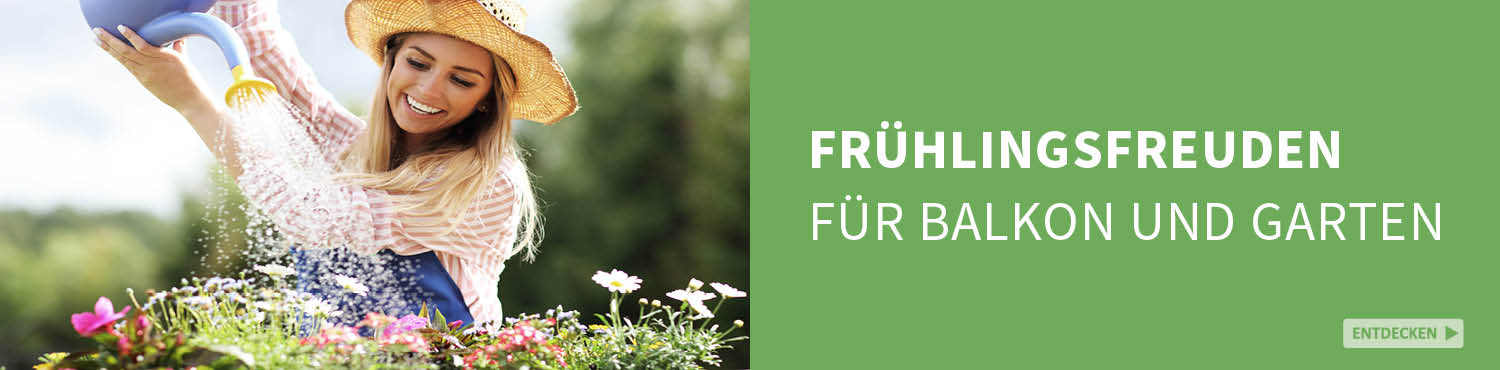 Medieninhalt - Feld 1